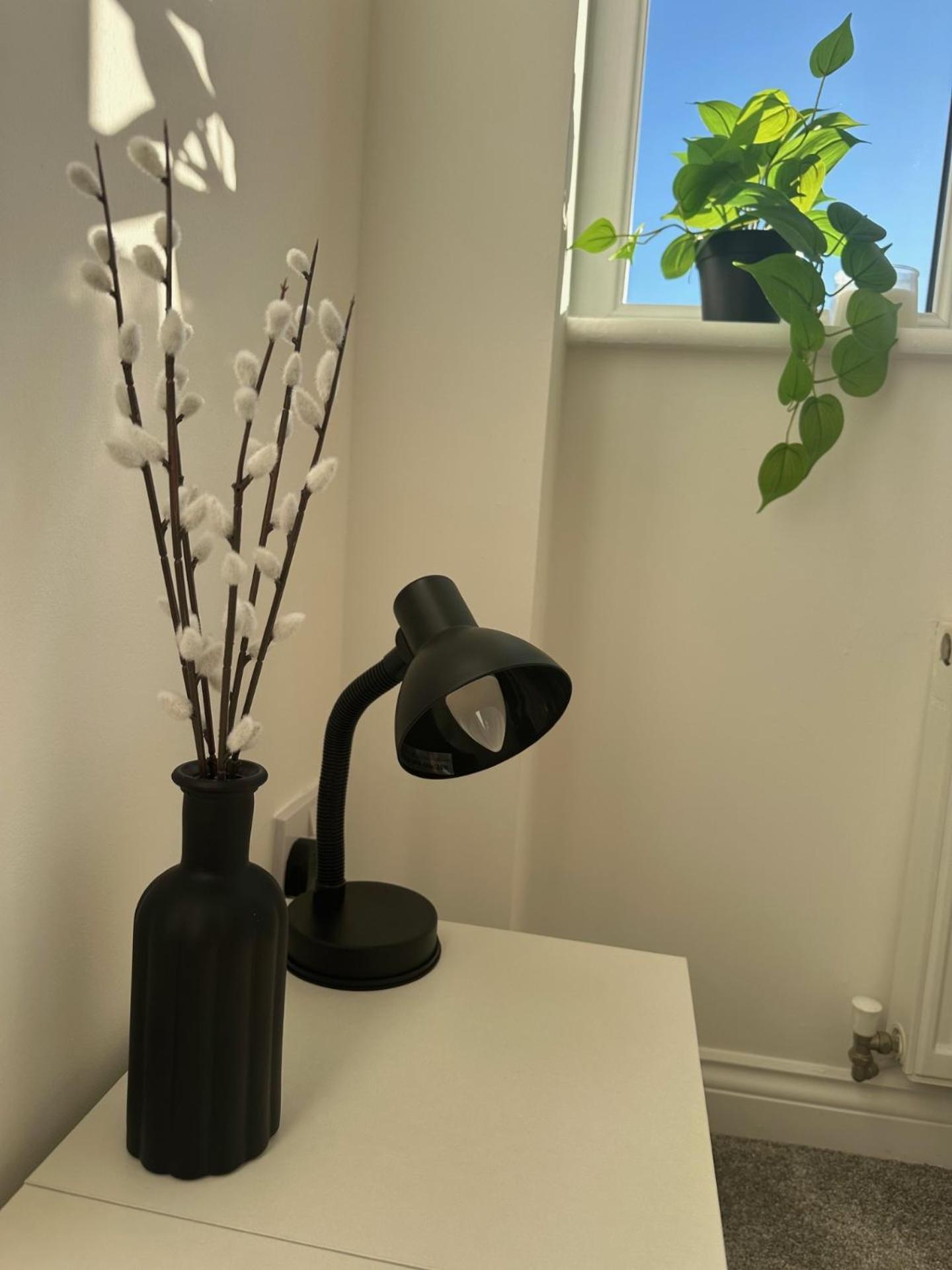 גלאזגו Black Daisy מראה חיצוני תמונה